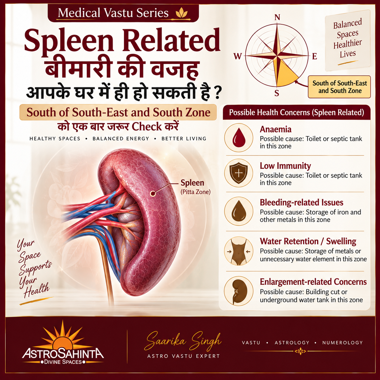 Spleen Related बीमारी की वजह आपके घर में ही हो सकती है?